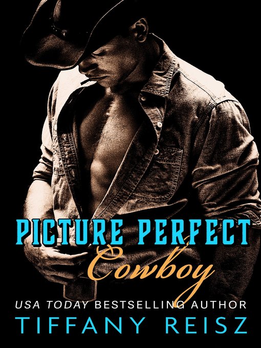 Title details for Picture Perfect Cowboy by Tiffany Reisz - Available